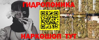 спиды Брянск