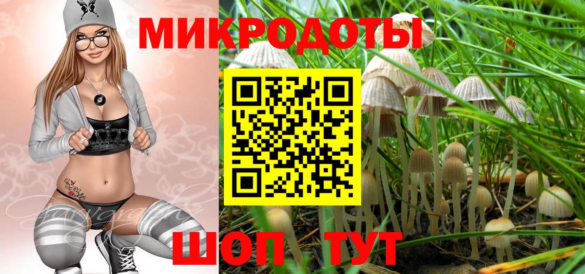 Псилоцибиновые грибы GOLDEN TEACHER Воткинск