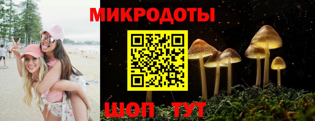 Воткинск  Псилоцибиновые грибы Cubensis  Галлюциногенные грибы прущие грибы  Вход с VPN 